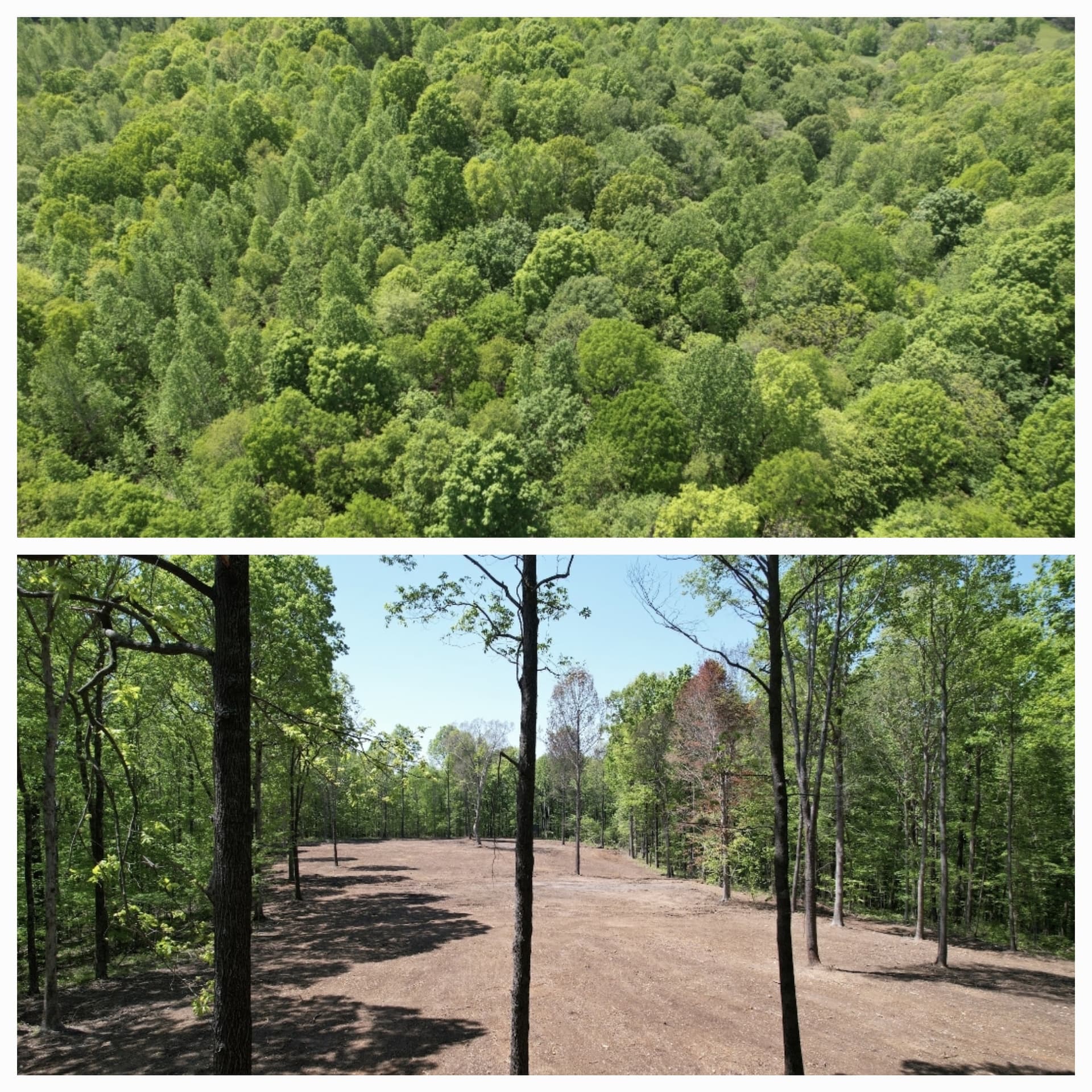 Before and after land clearing through a wooded area