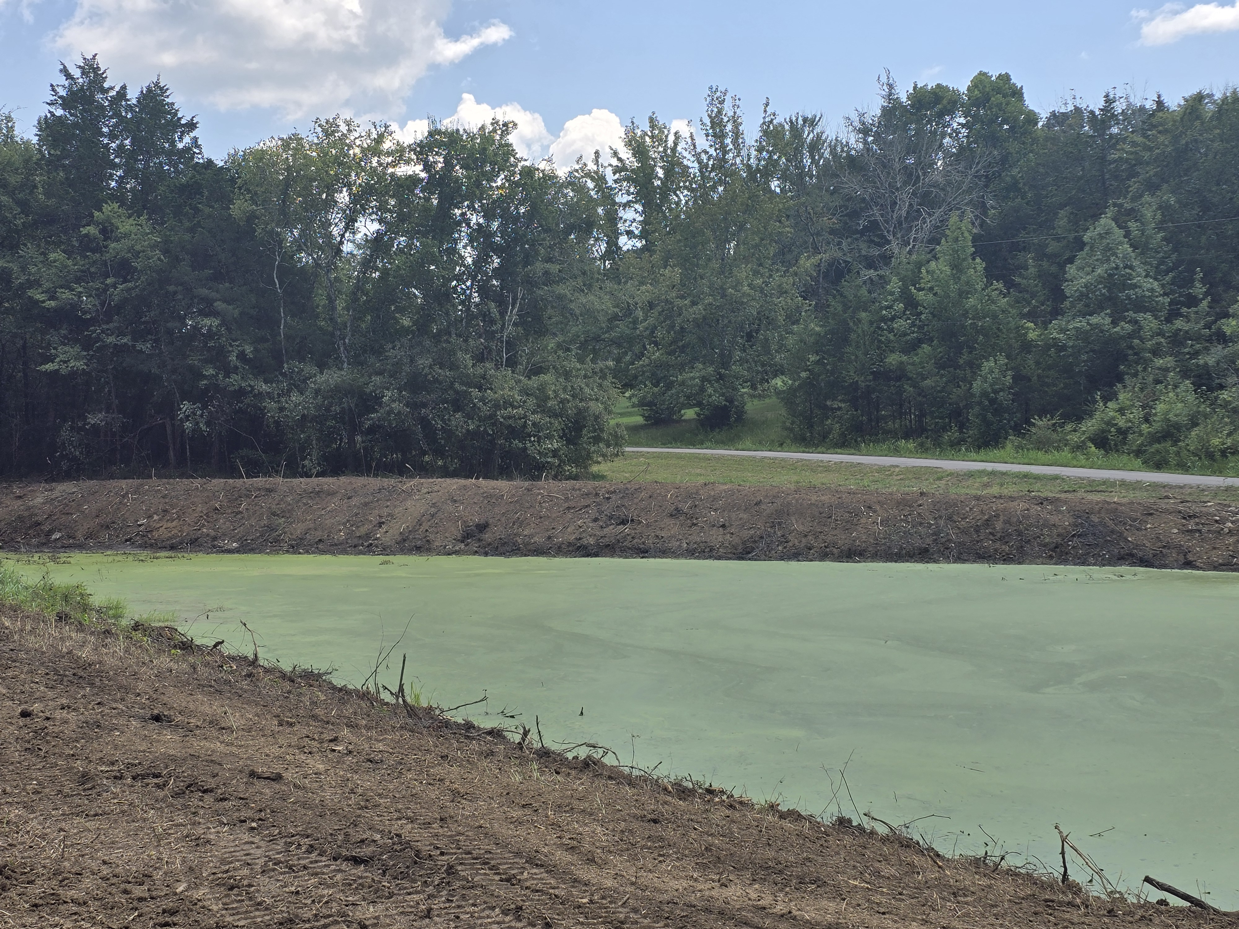 Cleared pond bank with open shoreline