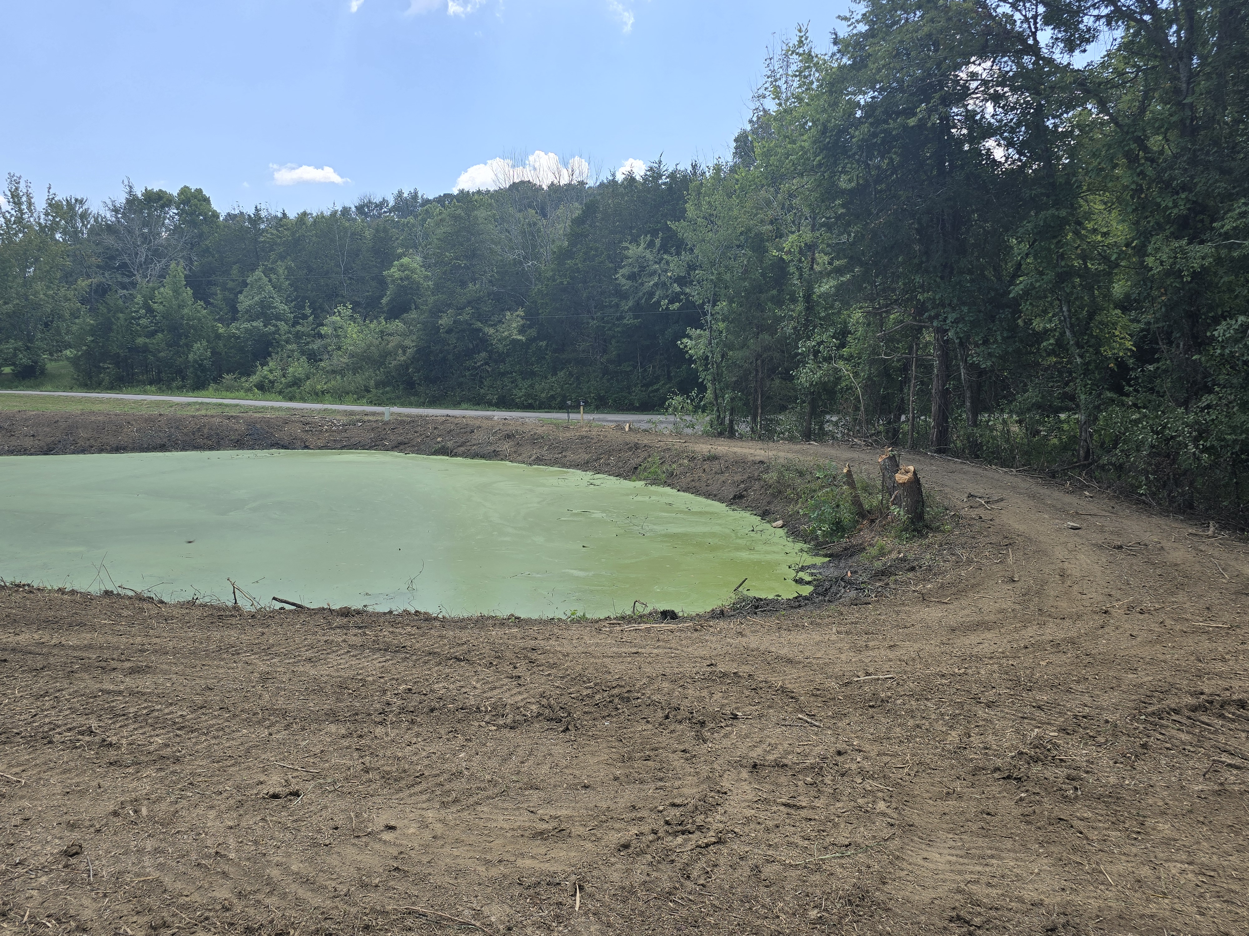 Wide view of pond bank after clearing
