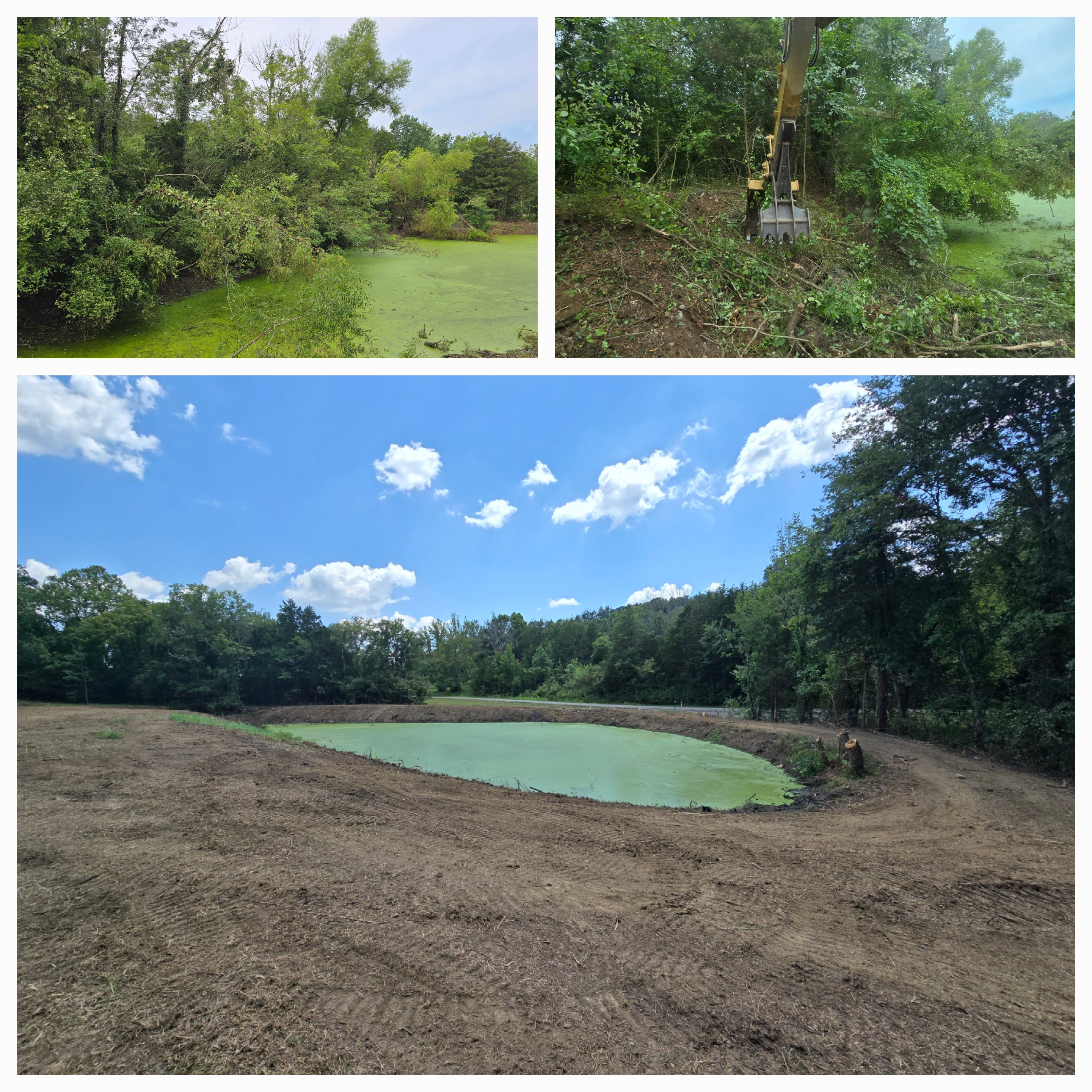 Pond cleanup process collage with before and after views